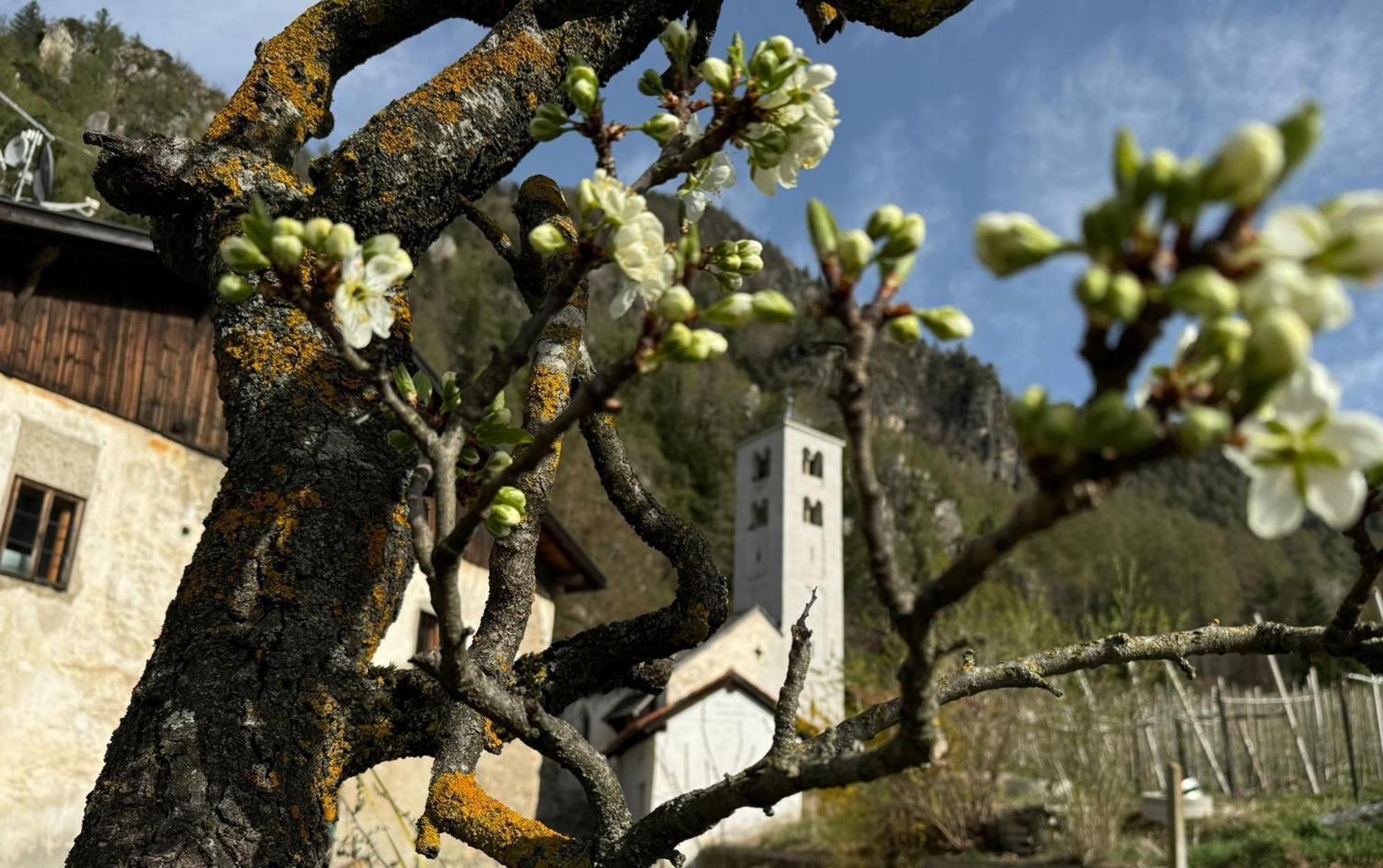 Ferienwohnungen Jojasa Latsch Exterior foto